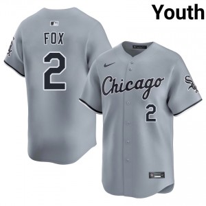 CWS #2 Nellie Fox Gray Game Youth Jersey 643572-401