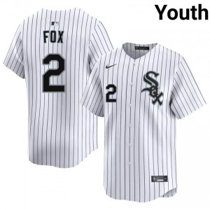White Stockings Popular Youth Nellie Fox White #2 Jerseys 407778-951